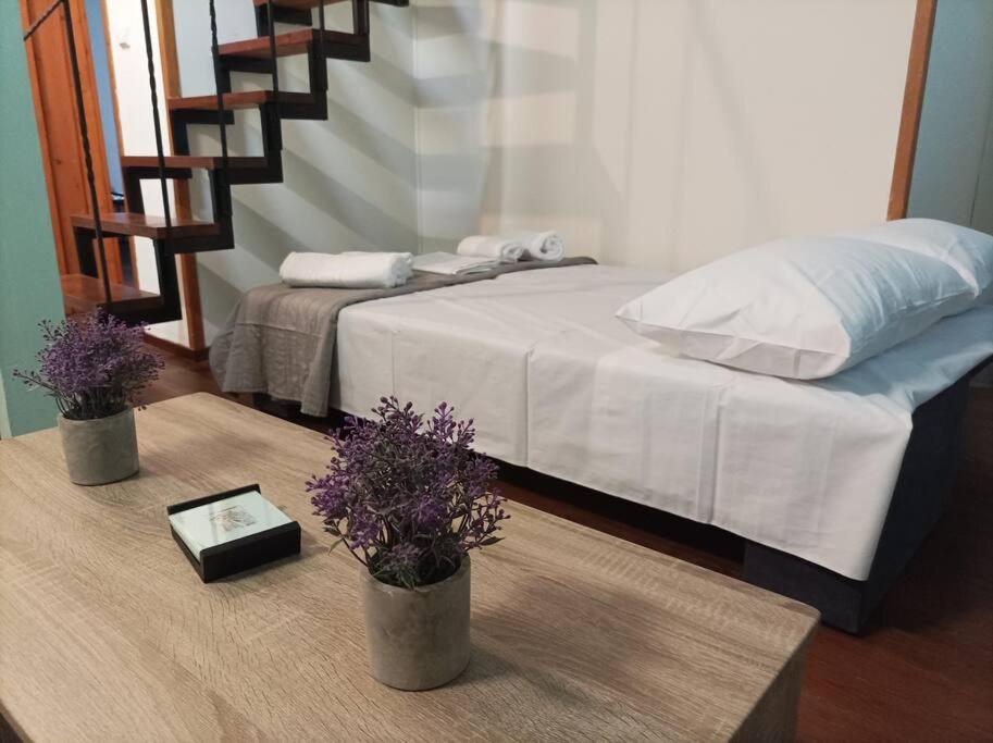 Spla 5 , στην πόλη Appartement *